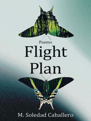 cover image of Flight Plan